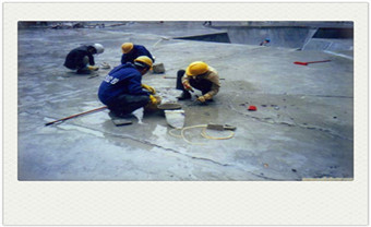 平房屋顶漏水怎么处理-专业堵漏公司电话_屋顶防水补漏喷剂材料哪个品牌好-防水处理方法